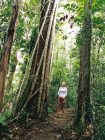 Wet Tropics - Accommodation Resorts 0