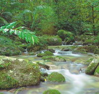 Mossman Gorge Daintree National Park - Accommodation Resorts
