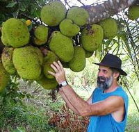 Cape Trib Exotic Fruit Farm - Accommodation Resorts