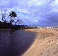Russell River National Park - Accommodation Resorts