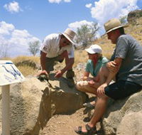 Riversleigh Fossil Fields - Accommodation Resorts