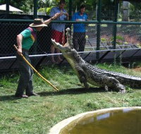 Snakes Downunder Reptile Park and Zoo - Accommodation Resorts
