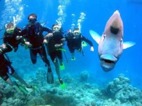 Gotham City Dive Site - Accommodation Resorts 0