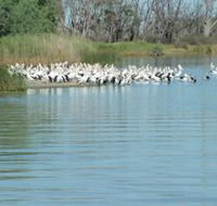 Lake Ross - Accommodation Resorts