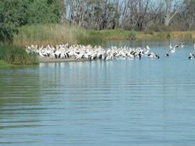 Lake Ross - Accommodation Resorts 0