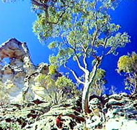 Mount Moffatt Section - Carnarvon National Park - Accommodation Resorts