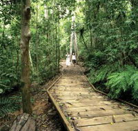 Lake Barrine Circuit Track Crater Lakes National Park - Accommodation Resorts