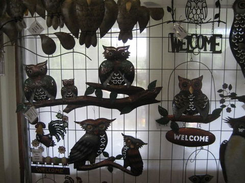 Maleny Sunday Market - Accommodation Resorts 2