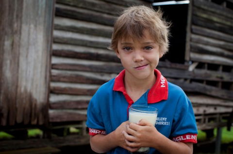 Maleny Dairies - Accommodation Resorts 2