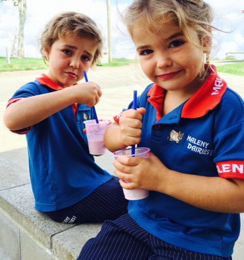 Maleny Dairies - Accommodation Resorts 3