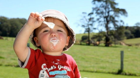 Maleny Dairies - Accommodation Resorts 5