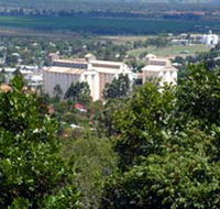 Apex Park and Lookout - Accommodation Resorts