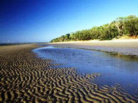 Kinkuna Section - Accommodation Resorts 0