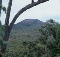Mount Fox - Accommodation Resorts