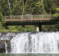 Malanda Falls Conservation Park - Accommodation Resorts