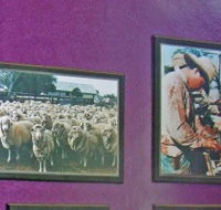 Charleville Photographic Display - Accommodation Resorts