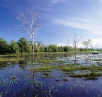 Tyto Wetlands - Accommodation Resorts