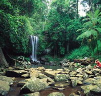 Tamborine National Park - Accommodation Resorts