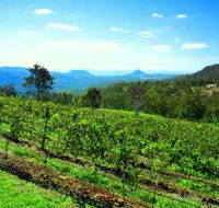 Preston Peak Wines - Accommodation Resorts