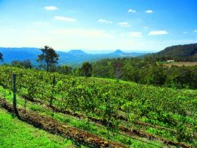 Preston Peak Wines - Accommodation Resorts 0