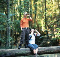 Birdwatching on the Fraser Coast - Accommodation Resorts