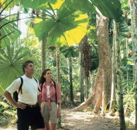 Licuala State Forest - Accommodation Resorts