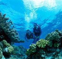 Coral Gardens Dive Site - Accommodation Resorts