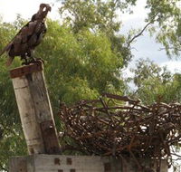 Blackall Sculpture Trail - Accommodation Resorts