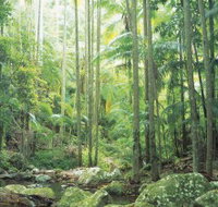 Python Rock - Accommodation Resorts