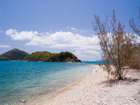 Shute Harbour QLD Accommodation Resorts