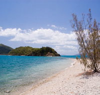 Paddle Bay Track and Campsite - Accommodation Resorts