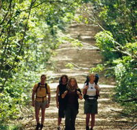 Wet Tropics Great Walk - Accommodation Resorts