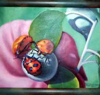 Kingaroy Shire Art Gallery - Accommodation Resorts