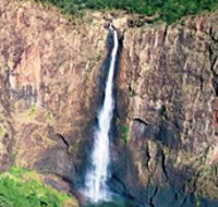 Buujan Quiinbiira Walk Wet Tropics Great Walk - Accommodation Resorts