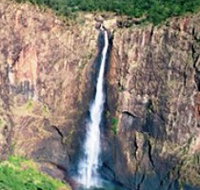 Gugigugi Butterfly Walk Wet Tropics Great Walk - Accommodation Resorts