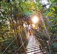 Tree Top Walkway - Accommodation Resorts