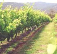 Girraween Estate - Accommodation Resorts