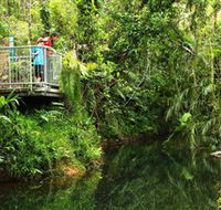 Djiru National Park - Accommodation Resorts