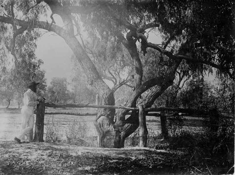 Burke And Wills Dig Tree - Accommodation Resorts 4