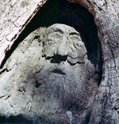 Burke And Wills Dig Tree - Accommodation Resorts 7