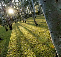 Tondoon Botanic Gardens - Accommodation Resorts