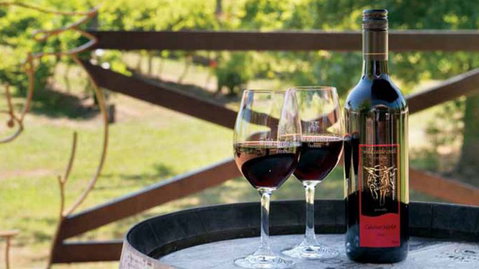 Wild Cattle Creek Estate Winery Restaurant - Accommodation Resorts 4
