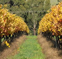 Wild Dog Winery  Restaurant - Accommodation Resorts