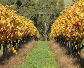 Wild Dog Winery & Restaurant - Accommodation Resorts 0