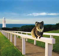Cape Otway Lightstation - Accommodation Resorts