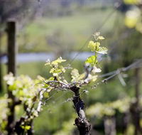 Elan Vineyard and Winery - Accommodation Resorts