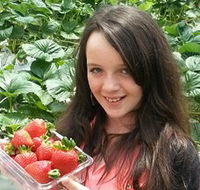 Yarra Valley Gateway Estate - Accommodation Resorts