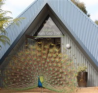 Halls Gap Zoo - Accommodation Resorts