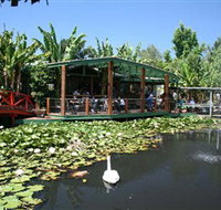 Blue Lotus Water Garden - Accommodation Resorts