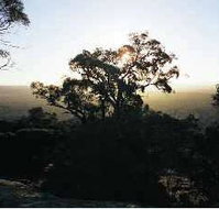 Yarra Flats - Accommodation Resorts